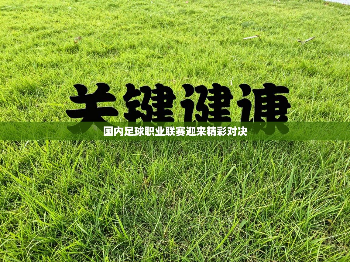 国内足球职业联赛迎来精彩对决  第2张